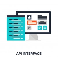  API INTERFACE