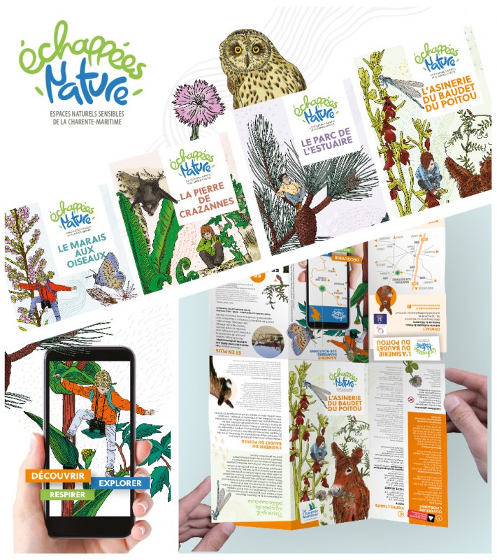 cd17 ens depliant 72dpi