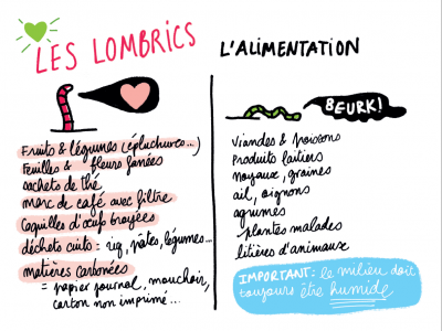 lombrics alimentation rc2c