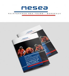 MESEA // Rapport d'activités 2017