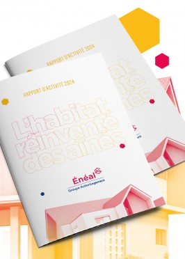 ENEAL // Rapports de gestion et d'activité