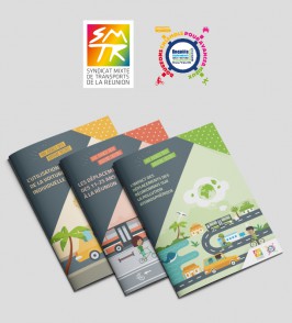 Syndicat mixte de transport de La Réunion  // Charte et synthèses enquête déplacements 